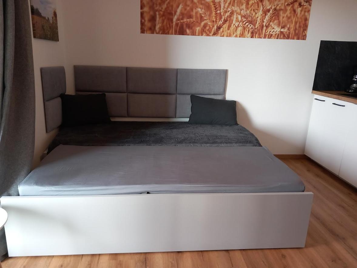 Appartement Ferienbauernhof Neumuehle à Gappenach Extérieur photo