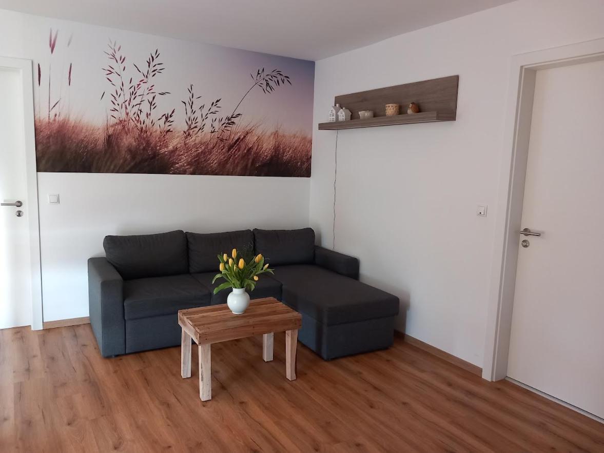 Appartement Ferienbauernhof Neumuehle à Gappenach Extérieur photo