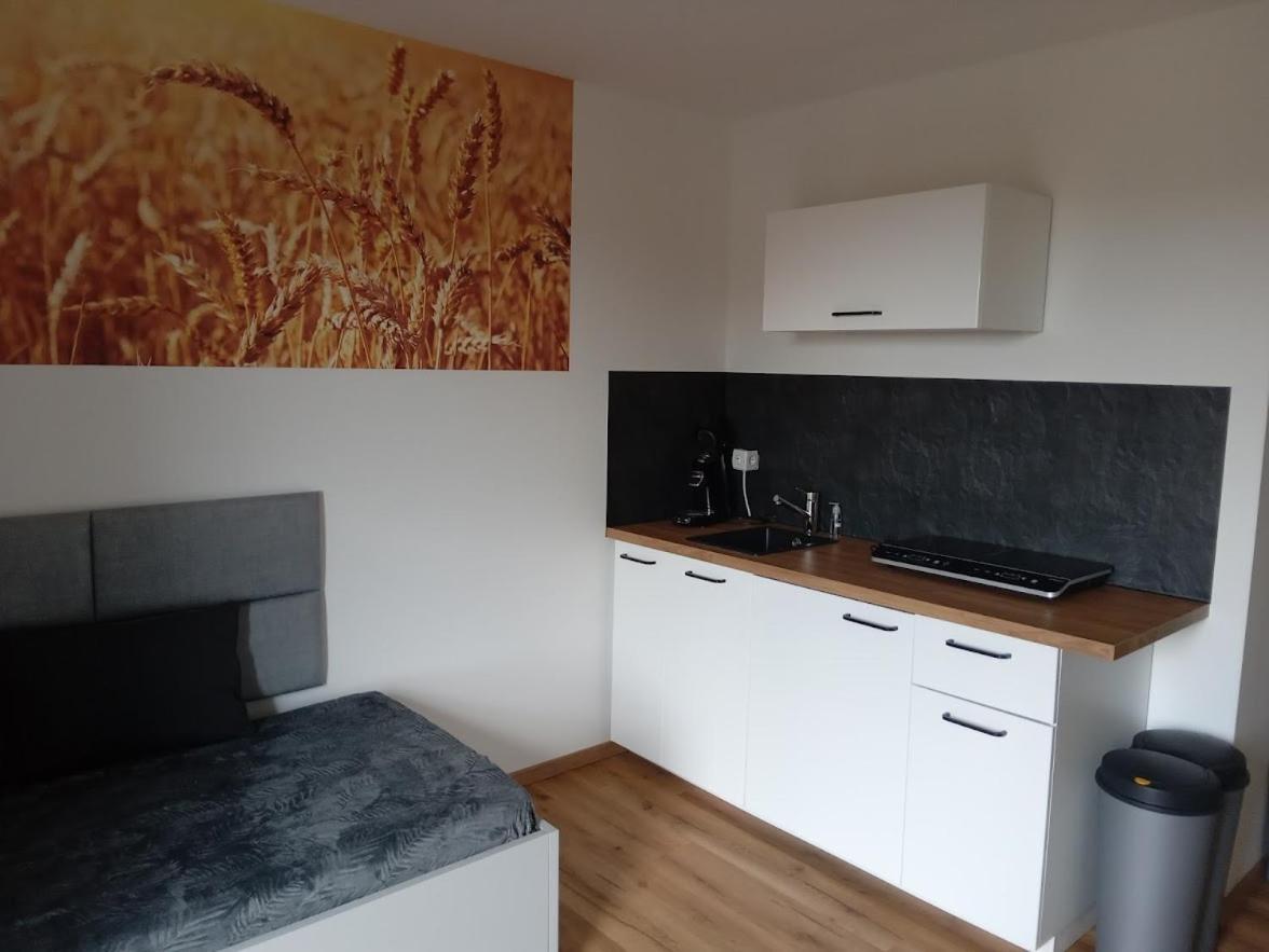 Appartement Ferienbauernhof Neumuehle à Gappenach Extérieur photo