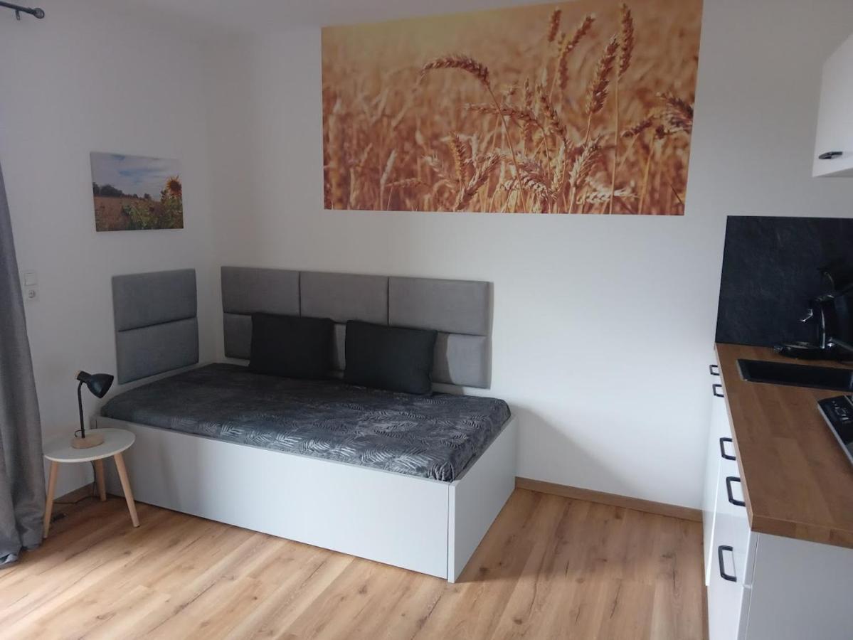 Appartement Ferienbauernhof Neumuehle à Gappenach Extérieur photo