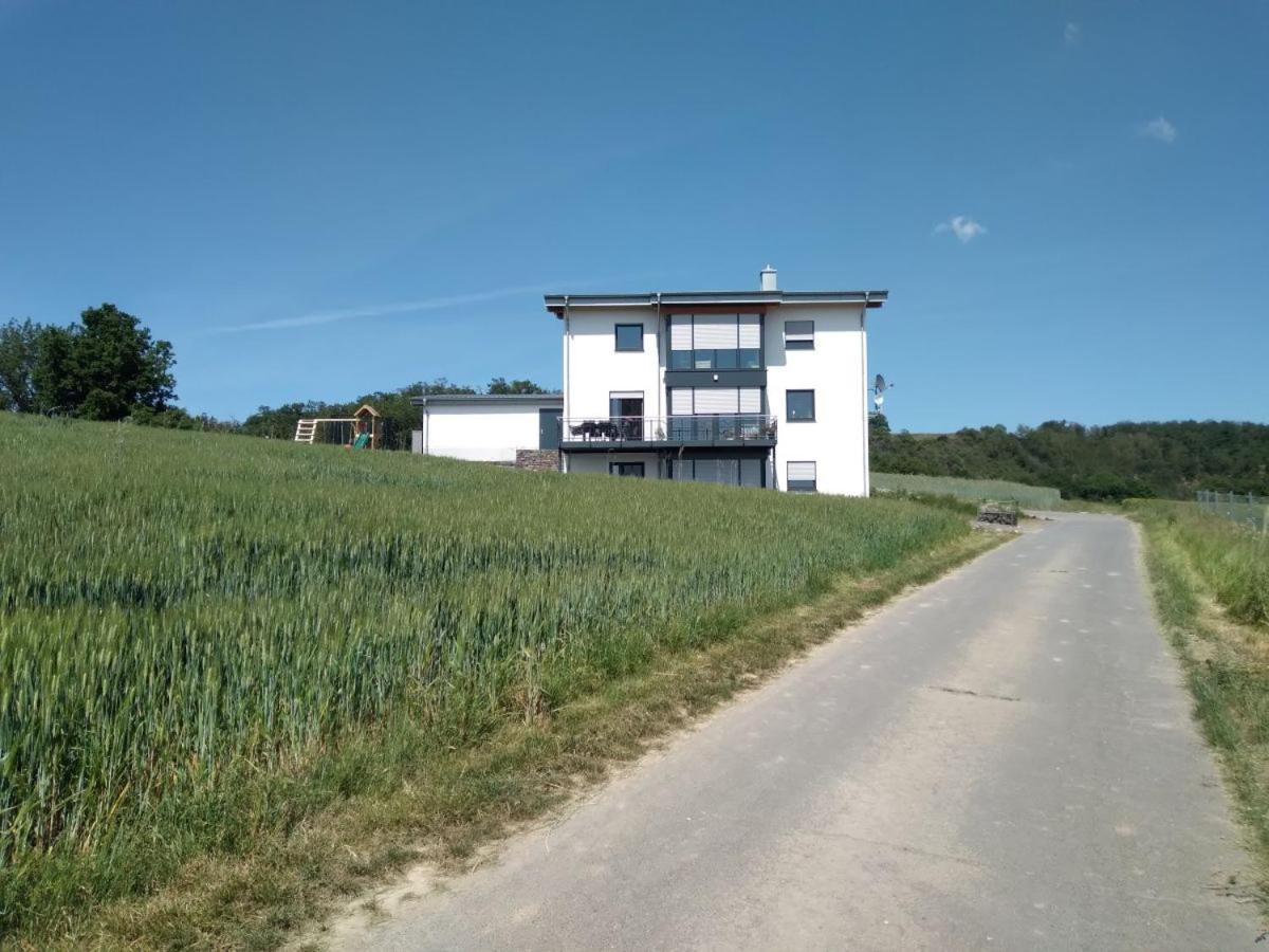 Appartement Ferienbauernhof Neumuehle à Gappenach Extérieur photo